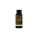 Diamine Ink Bottle (30ml / 80ml) - Green - EndlessPens