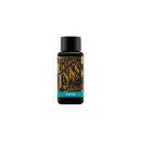 Diamine Ink Bottle (30ml / 80ml) - Teal - EndlessPens