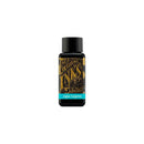 Diamine Ink Bottle (30ml / 80ml) - Teal - EndlessPens