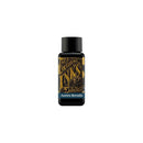Diamine Ink Bottle (30ml / 80ml) - Teal - EndlessPens