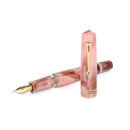 Leonardo × @karynalovestoplan - Momento Zero Grande 2.0 Winter Sunrise Fountain Pen Set - EndlessPens