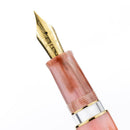 Leonardo × @karynalovestoplan - Momento Zero Grande 2.0 Winter Sunrise Fountain Pen Set - EndlessPens