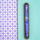 Leonardo × @nibsandflourishes Aster Bouquet Fountain Pen - EndlessPens