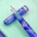 Leonardo × @nibsandflourishes Aster Bouquet Fountain Pen - EndlessPens