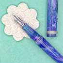 Leonardo × @nibsandflourishes Aster Bouquet Fountain Pen - EndlessPens