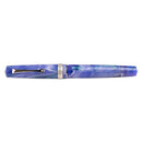 Leonardo × @nibsandflourishes Aster Bouquet Fountain Pen - EndlessPens