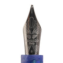 Leonardo × @nibsandflourishes Aster Bouquet Fountain Pen - EndlessPens
