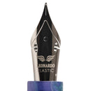 Leonardo × @nibsandflourishes Aster Bouquet Fountain Pen - EndlessPens