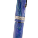 Leonardo × @nibsandflourishes Aster Bouquet Fountain Pen - EndlessPens