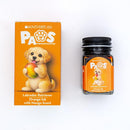 Monteverde Paws Scented Inks Ink Set - Orange | EndlessPens