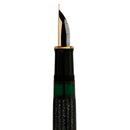 Pelikan M1000 Raden Stardust Fountain Pen - Pen Nib | EndlessPens
