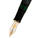 Pelikan M1000 Raden Stardust Fountain Pen - Fountain Pen Nib | EndlessPens