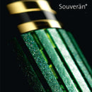 Pelikan Souverän M1000 Fountain Pen - EndlessPens