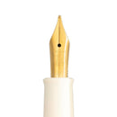 Pelikan M200 World Festival Series Cherry Blossom Fountain Pen - Pen Nib | EndlessPens