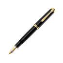 Pelikan Fountain Pen - M800 Souverän - EndlessPens