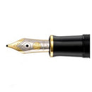 Pelikan Nib E400 Two Tone 14K Gold - EndlessPens