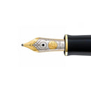 Pelikan Nib E600 Two Tone 14K Gold - EndlessPens
