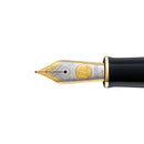 Pelikan Nib M700 - EndlessPens