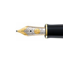 Pelikan Nib E800/M900 18kt Two Tone Gold - EndlessPens