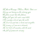 Pennonia Almazöld Apple Green Ink Bottle (60ml) - A Close-Up Of A Text On Paper | EndlessPens