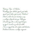 Pennonia Csillánt Nettle Ink Bottle 60ml - A Close-Up Of A Text On Paper | EndlessPens