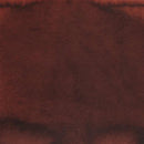 Pennonia Gesztenyebarna Chestnut Brown Ink Bottle (60ml) - Shades Of Ink On Paper | EndlessPens