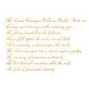 Pennonia Gyermekláncfű Dandelion Ink Bottle (60ml) - A Close-Up Of A Text On Paper | EndlessPens