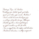 Pennonia Mustvörös Young Wine Ink Bottle (60ml) - A Close-Up Of A Text On Paper | EndlessPens