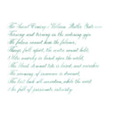 Pennonia Patina Ink Bottle (60ml) - A Close-Up Of A Text On Paper | EndlessPens