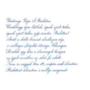 Pennonia Törökkék Turkish Blue Ink Bottle (60ml) - A Close-Up Of A Text On Paper | EndlessPens