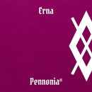 Pennonia Erna Ink Bottle - Packaging | EndlessPens