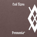 Pennonia Esti Tízes (Evening Tenner) Ink Bottle - Packaging | EndlessPens