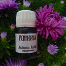 Pennonia × @nibsandflourishes Garden Delights: Aster Ink Bottle (30ml) - EndlessPens