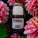 Pennonia × @nibsandflourishes Garden Delights Dahlia Ink Bottle (30ml) - Ink Bottle on Flowers | EndlessPens