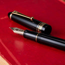 Pilot Fountain Pen - Custom 743