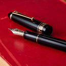 Pilot Fountain Pen - Custom 743