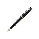 Pilot Fountain Pen - Custom 845