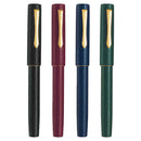 Pilot Fountain Pen - Ishime