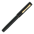 Pilot Fountain Pen - Ishime