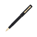 Pilot Fountain Pen - Ishime