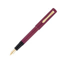 Pilot Fountain Pen - Ishime