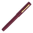 Pilot Fountain Pen - Ishime