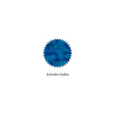 Robert Oster Ink Bottle (50ml) - Australis