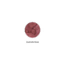 Robert Oster Ink Bottle (50ml) - Australis