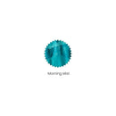Robert Oster Ink Bottle (50ml) - Regular - Blue & Teal - EndlessPens