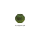 Robert Oster Ink Bottle (50ml) - Regular - Green - EndlessPens