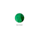 Robert Oster Ink Bottle (50ml) - Regular - Green - EndlessPens
