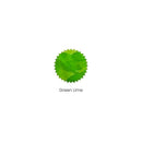 Robert Oster Ink Bottle (50ml) - Regular - Green - EndlessPens
