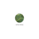 Robert Oster Ink Bottle (50ml) - Regular - Green - EndlessPens