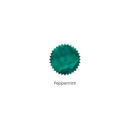 Robert Oster Ink Bottle (50ml) - Regular - Green - EndlessPens